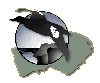 Club des ornithologues de la Gasp&eacute;sie